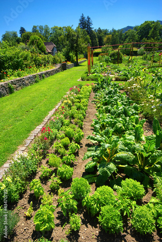 Photo: Potager bio. Potager bio.