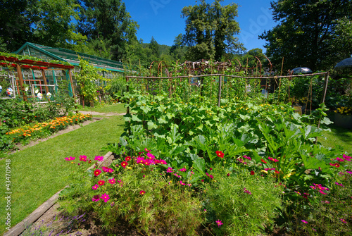 Photo: Potager bio. Potager bio.