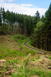 Valley in Harz Mountains with tracks, Germany