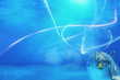 Underwater Background With Dolphin
