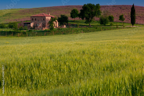Photo: Countryside, Pienza, Tuscany, Italy Countryside, Pienza, Tuscany, Italy