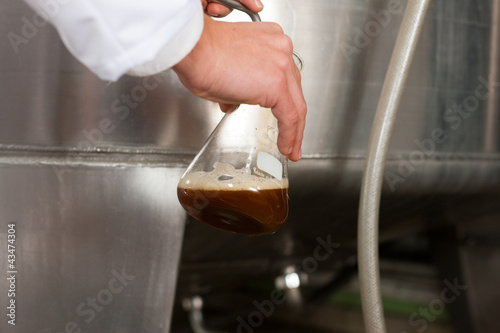 Photo: Braumeister für Bier in seiner Brauerei Braumeister für Bier in seiner Brauerei