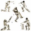 Vector: hand-drawn series - CRICKET hand-drawn series - CRICKET