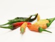 Video: Mix color chili rotate on white background Mix color chili rotate on white background