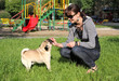 Dog Pug and young woman