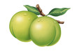 Illustration: juicy fresh water drops of plum on white background juicy fresh water drops of plum on white background