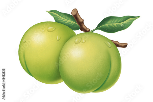 Illustration: juicy fresh water drops of plum on white background juicy fresh water drops of plum on white background