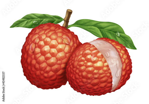 Illustration: juicy fresh water drops of lychee on white background juicy fresh water drops of lychee on white background