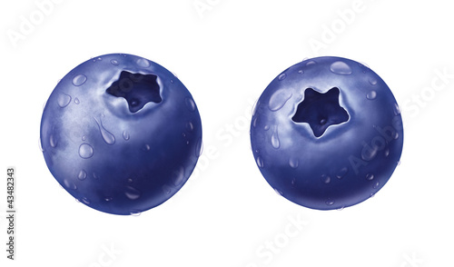 Illustration: juicy fresh water drops of blueberry on white background juicy fresh water drops of blueberry on white background