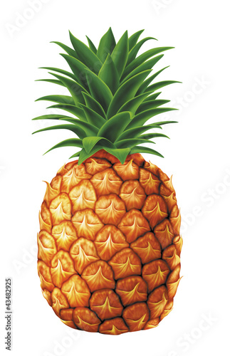 Illustration: juicy fresh water drops of pineapple on white background juicy fresh water drops of pineapple on white background