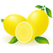 lemon illustration
