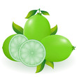 lime illustration