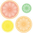 set of citrus in the slice orange lemon lime grapefruit