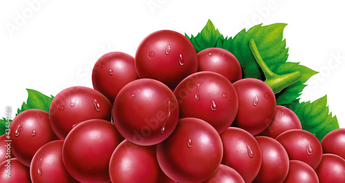 Illustration: juicy fresh water drops of grapes with white background juicy fresh water drops of grapes with white background