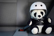 Sicherheit im Auto