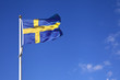 Swedish National Flag