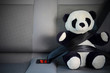 Foto: Sicher im Auto Sicher im Auto