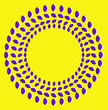 Optical illusion with circles made from dried fruits