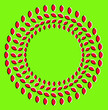 Optical illusion with circles made from dried fruits