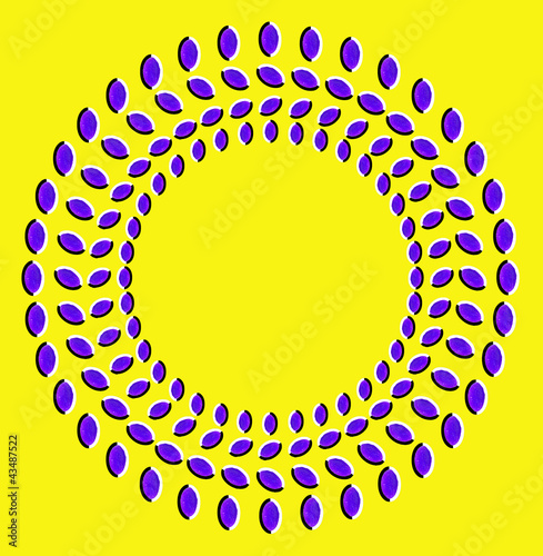 Illustration: Optical illusion with circles made from dried fruits Optical illusion with circles made from dried fruits