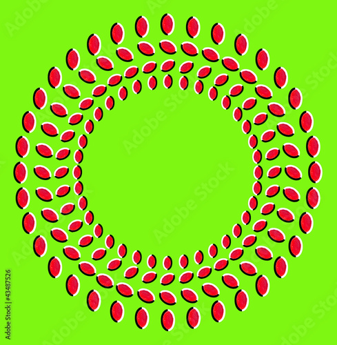 Illustration: Optical illusion with circles made from dried fruits Optical illusion with circles made from dried fruits