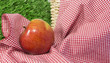 Red apple in a picnic scene 1