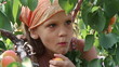 Girl eats apricots