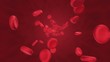 Vídeo: blood cells blood cells
