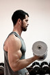 Handsome muscular man lifting weights.