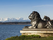 Tutzing lion head