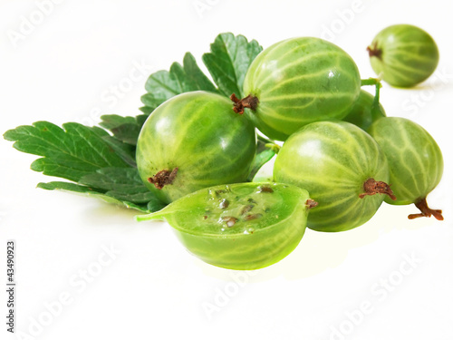 Foto: gooseberry with leaves gooseberry with leaves