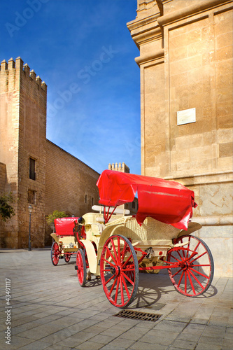 Foto: Traditional horse-drawn carriage Traditional horse-drawn carriage