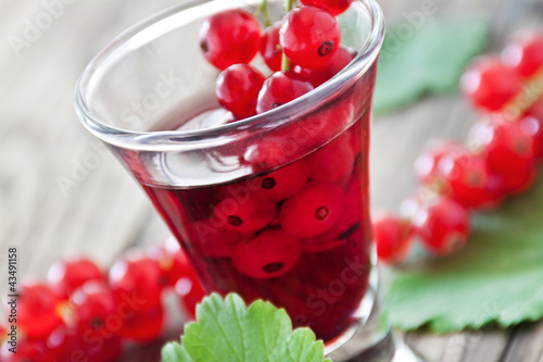 Photo: Likör - Johannisbeeren Likör - Johannisbeeren