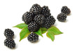Foto: Brombeeren freigestellt mit Blättern Brombeeren freigestellt mit Blättern