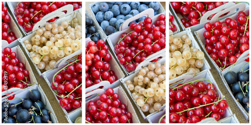 Foto: Envie de Groseilles ! Envie de Groseilles !