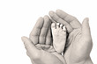 new life