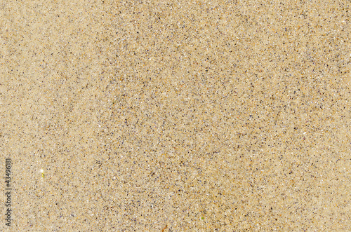 Photo: sand close up as textured background sand close up as textured background