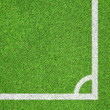 White stripe on the green
