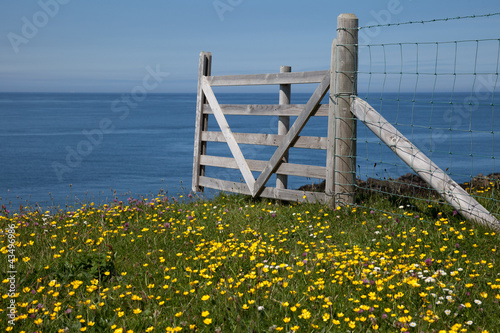 Photo: Cemaes Bay Cemaes Bay