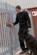 Maximum security