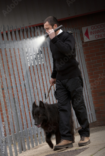 Photo: Torchlight security Torchlight security