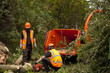 Log cutting