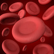 Illustration: Erythrocytes Erythrocytes
