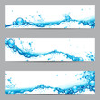 Vektor: Water Splash Banner Water Splash Banner