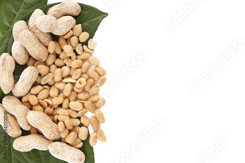 Photo: peanuts peanuts