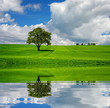 Green line
