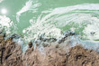 Blaualgen am Strand