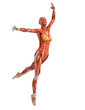 muscle woman ballet