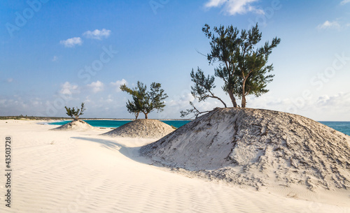 Photo: Dunes and wild beach Dunes and wild beach