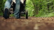 Vídeo: Father with child in stroller walks in park, HD Father with child in stroller walks in park, HD
